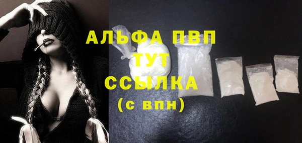 сатива Богданович