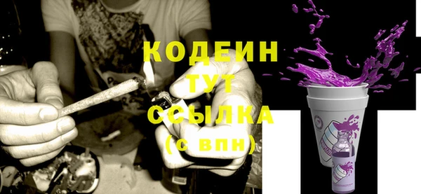 сатива Богданович