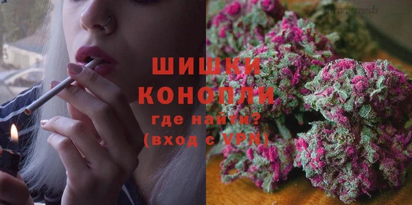 ешки Бородино