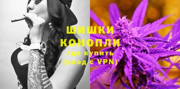 сатива Богданович