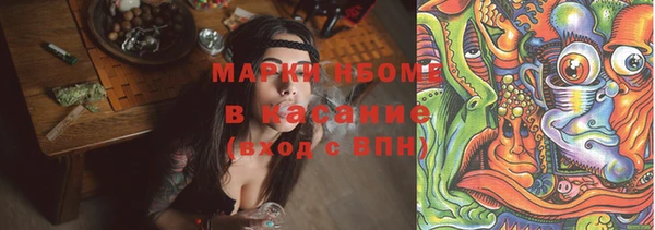 ешки Бородино