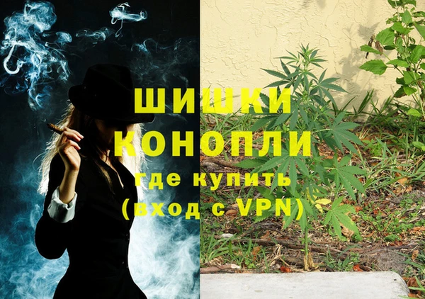 сатива Богданович