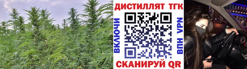 Дистиллят ТГК THC oil  Фёдоровский 