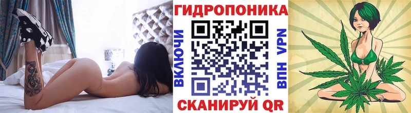 ссылка на мегу как зайти  Фёдоровский  Бошки Шишки THC 21%  цены наркотик 